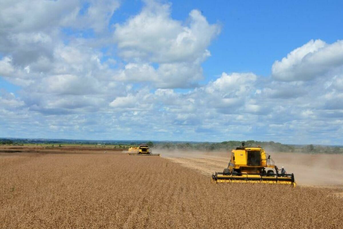 Imagem de compartilhamento para o artigo Plantio de soja em Mato Grosso do Sul avança com retorno das chuvas de outubro da MS Todo dia